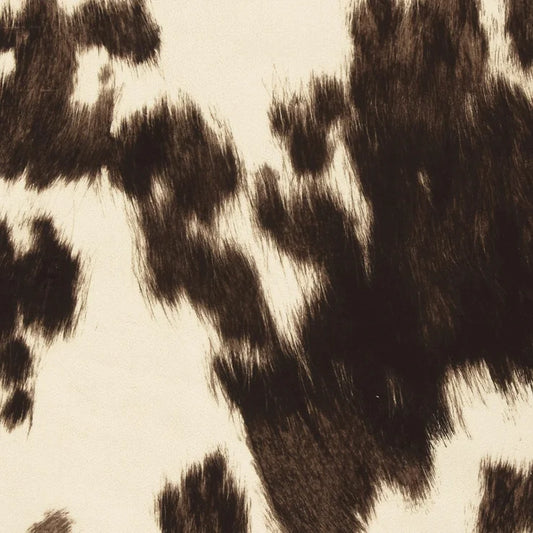 Clochard - Asmar