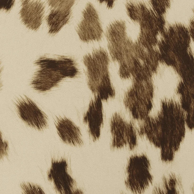 Clochard - Asmar