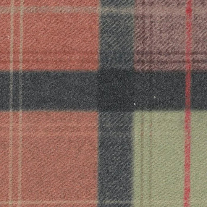 Clochard - Darvel