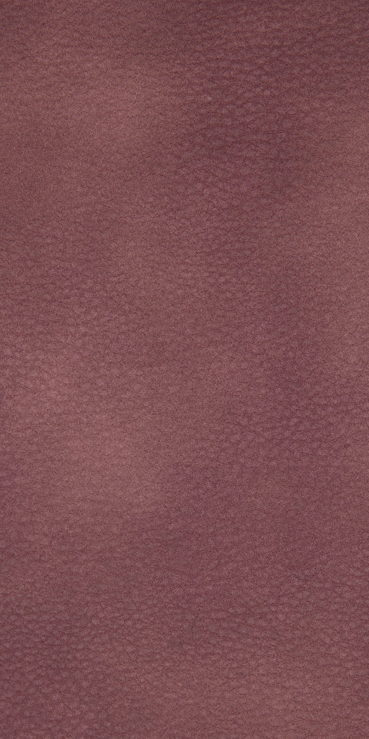 Leotex - Bora